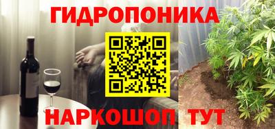 трава Кингисепп