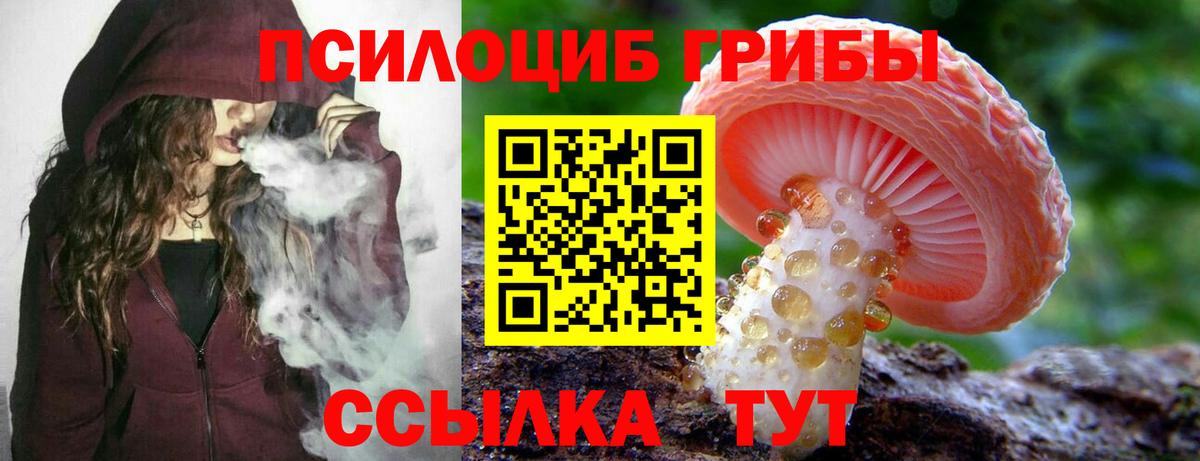 Галлюциногенные грибы MAGIC MUSHROOMS Краснознаменск