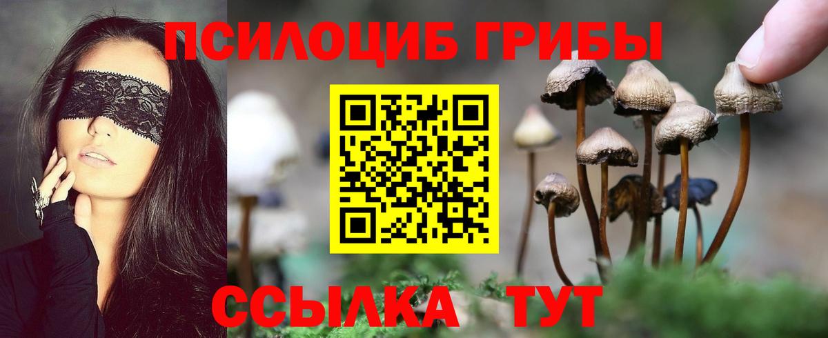 Псилоцибиновые грибы ЛСД  Галлюциногенные грибы Cubensis  Вход с VPN  Краснознаменск 